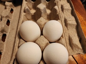 (未使用･未開封品)　Stones and Eggs lok26k6 Check codes for eggs recalled due to Salmonella